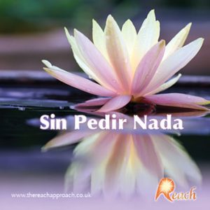 Sin Pedir Nada