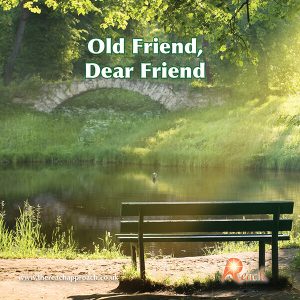 Old Friend Dear Friend